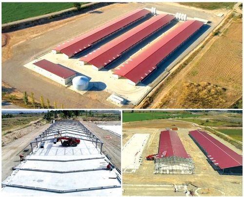 son şirket davası hakkında Yaklaşık 147000 köpeği ağırlayan yeni üç broiler evi,broiler tavuklarının beslenme salonlarının inşaatının 3. aşamasında.