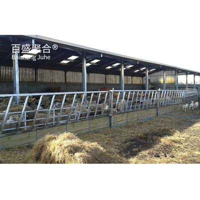 Metal Bina Çelik Yapı Sığır Sığır Sığır / Koyun Sığır / Domuz Evi için Özel