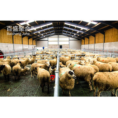 Metal Bina Çelik Yapı Sığır Sığır Sığır / Koyun Sığır / Domuz Evi için Özel