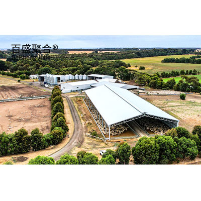 Metal Bina Çelik Yapı Sığır Sığır Sığır / Koyun Sığır / Domuz Evi için Özel