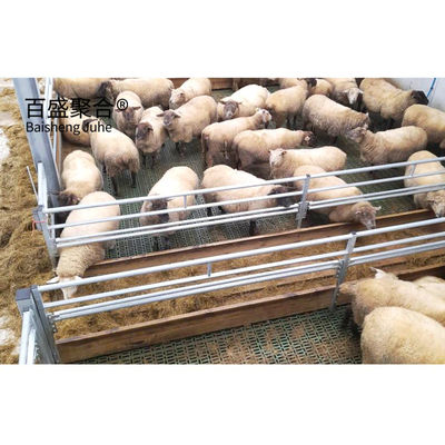 Sığır, At, Keçi ve Koyunlar için prefabrik ahırlar Hızlı inşaat çelik yapısı