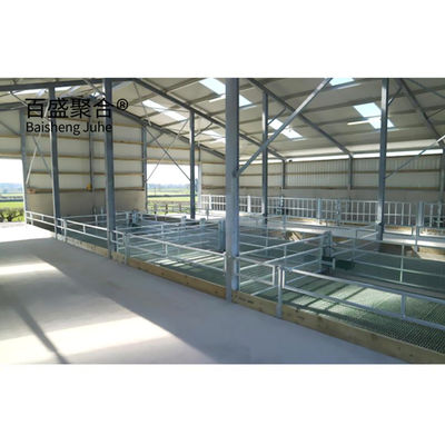 Keçi/Koyun/Sığır/Sığır Küpü ve Domuz yetiştirme için çelik sınıfı prefabrik hayvancılık binası