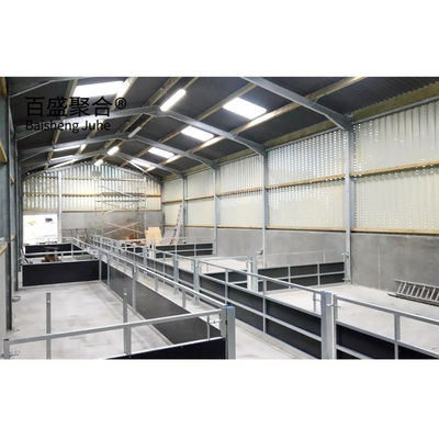 Keçi/Koyun/Sığır/Sığır Küpü ve Domuz yetiştirme için çelik sınıfı prefabrik hayvancılık binası