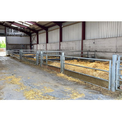 ISO9001 2008/CE/BV Sertifikalı Sıcak Dip Galvanizli Prefabrik Çelik Yapı Domuz Sığır Koyunlar için Hayvanlık Binaları