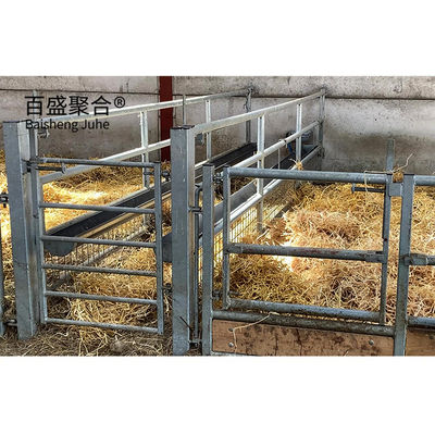 Q345 Çelik Yapı Tasarımı Keçi/Sığır Çiftlikleri için Hayvanat Çiftliği Çadırı MTS Çizim