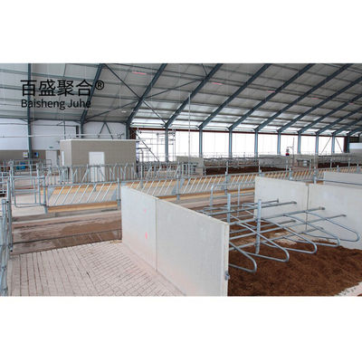 Hafif Çelik Yapı Sığır Çiftliği Binanı ISO9001 2008/CE/BV ile hazırlanmış sığır ahırı