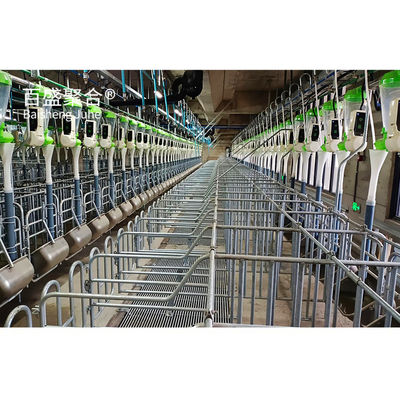 AutoCAD Çizim Tasarım Çelik Çerçeve Domuz Çiftliği Yapıları Tavuk Çiftliği için Bina