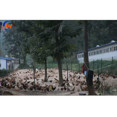Çelik Kalite Modern Tasarım Tavuk çiftliği için tavuk kulübesine Ev Çelik yapısı Ahır Çiftliği