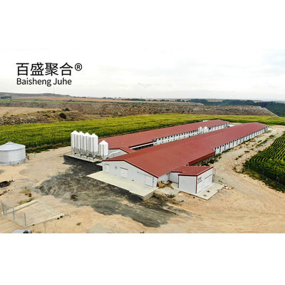Sliding Door Roller Door Steel Chicken House 10000 adet tavuk için özel renkler
