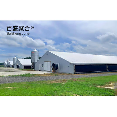 Büyük Kapasite Ön Yapı Broiler Sandwich Panel Çatı ile Tavuk Çiftliği Binası