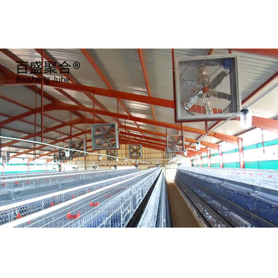 Büyük Kapasite Ön Yapı Broiler Sandwich Panel Çatı ile Tavuk Çiftliği Binası