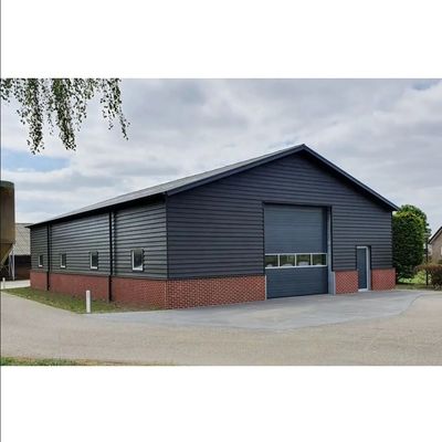 Müşteri Gereksinimleri Karşılandı Prefab Atölyesi Kendini Depolama PVC Pencereli Metal Bina