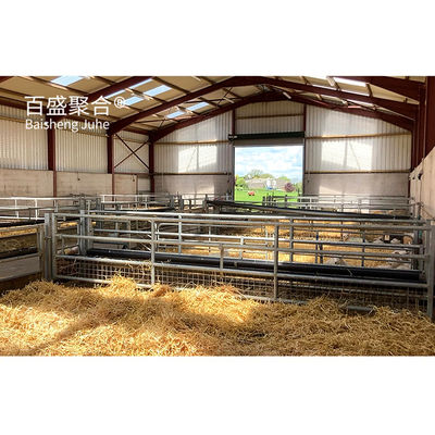 Ucuz Prefab Metal Bina PKPM Çizim Tasarımı ile Koyun Keçi Çiftliği Kulübe Evi