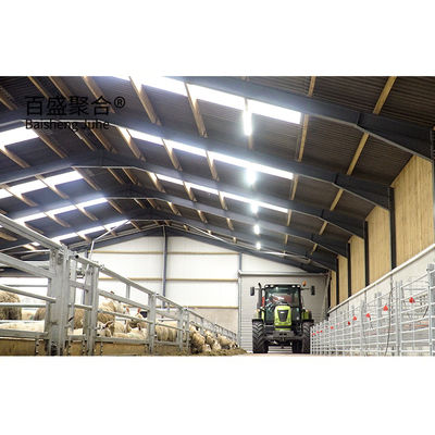 Çelik Binalar Çelik Yapı Koyun Ahırları Hot Dip Galvanize Çelik kirişlerle Tasarım