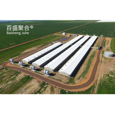 Farrowing Modern Çiftlik Domuz Evi Domuz Kulübesi Domuz evi