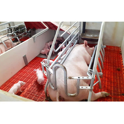 Galvanize Domuz yetiştirme ekipmanları Domuz çiftliği kalitesi çelik için prefabrik çelik çerçeve kulübeleri