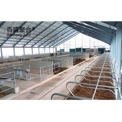 Özel Renkler Metal Çerçeve Çelik Yapı Sığır Sığır Çiftliği Evi Yapılandırılmış Sığır Ahırı Standart ASTM