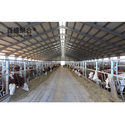 Özel Renkler Metal Çerçeve Çelik Yapı Sığır Sığır Çiftliği Evi Yapılandırılmış Sığır Ahırı Standart ASTM