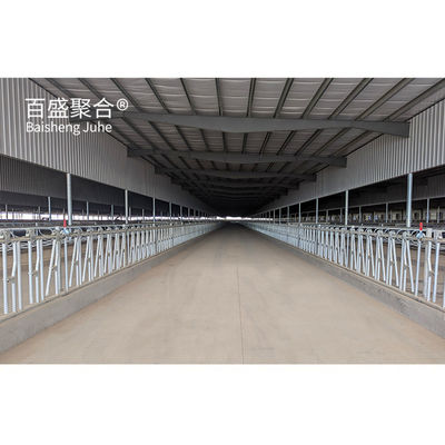 Özel Renkler Metal Çerçeve Çelik Yapı Sığır Sığır Çiftliği Evi Yapılandırılmış Sığır Ahırı Standart ASTM