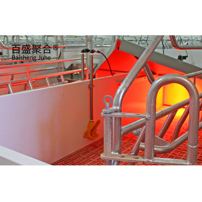 Prefab Metal Çelik İnşaat Domuz Çiftliği Çadırı Kaydırma Kapısı Rol Kapısı ile donatılmış