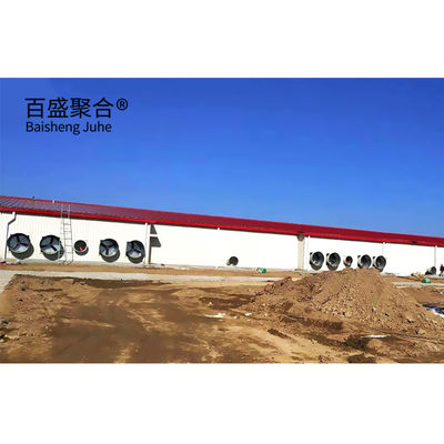 Automatic Poultry Farm Prefab Layer Pig Houses with Design and Aluminum Alloy Window (Automatik Tavuk Çiftliği Prefab Katmanlı Domuz Evleri Tasarım ve Alüminyum Alloy Pencereyle)