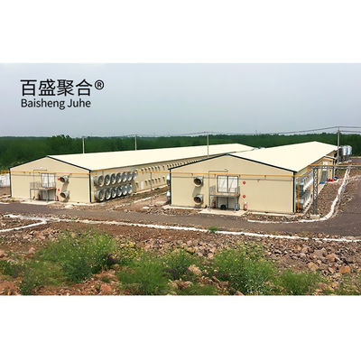 Automatic Poultry Farm Prefab Layer Pig Houses with Design and Aluminum Alloy Window (Automatik Tavuk Çiftliği Prefab Katmanlı Domuz Evleri Tasarım ve Alüminyum Alloy Pencereyle)
