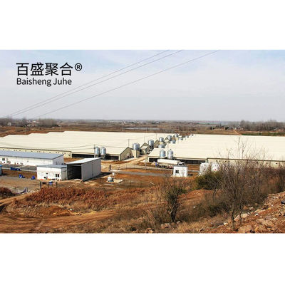 Automatic Poultry Farm Prefab Layer Pig Houses with Design and Aluminum Alloy Window (Automatik Tavuk Çiftliği Prefab Katmanlı Domuz Evleri Tasarım ve Alüminyum Alloy Pencereyle)