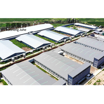 ISO9001 2008/CE/BV sertifikalı domuz yetiştirme iş planı