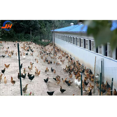 ISO9001 2008/CE/BV Sertifikalı Modern Tavuk Çiftliği Hafif Çelik Yapı Tavuk Evi