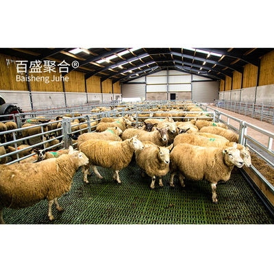 Alüminyum Alloy Window Prefab Animal Shed Steel Structure for Sheep and Goat Farming (Koyun ve Keçi Çiftliği İçin Alüminyum Alloy Pencere)