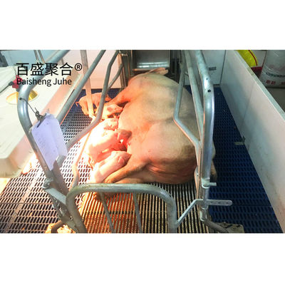 Dönüşüm servisi ve alüminyum alaşımlı pencere ile prefabrik çelik kulübe çiftlik binası