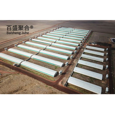 Sıcak Dip Galvanize/Boya püskürtme Çelik Prefab Domuzçuluk Ev Tasarımı Tavuk çiftliği için