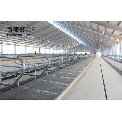 Upgrade Your Cattle Farm House with's Grade-A Steel Cowsheds Otomatik Çizim Tasarımı