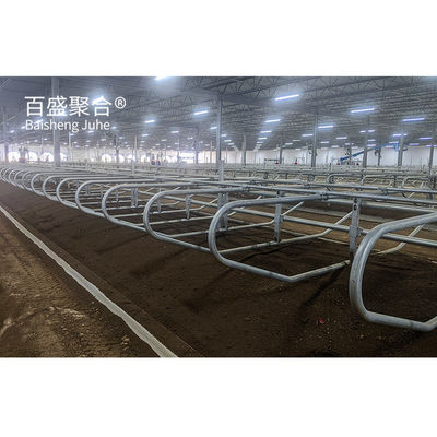 Fast Erected Q235 Low Carbon Steel Cowshed with Tolerance ±1% Profesyonel Tasarlanmış