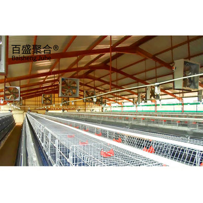 Galvanize A Tipi Tavuk Kafesleri Katman ISO9001 2008/CE/BV Sertifikası ile Tavuk