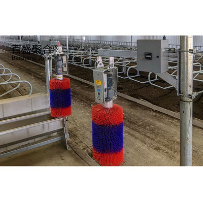 Sığır için ASTM Standart Yapılandırılmış Sığır Çatısı Bina ISO9001 2008/CE/BV Sertifikalı