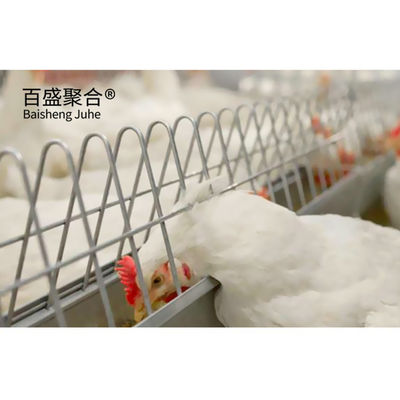 Hafif Çelik Çerçeve Broiler Sandviç Panel Çatı ve Özel Renklerle Tavuk Çadırı
