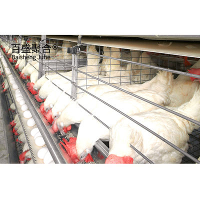 ISO9001 2008/CE/BV Sertifikalı Çelik Çiftlik Evi Hayvancılık ve Tavukçuluk için