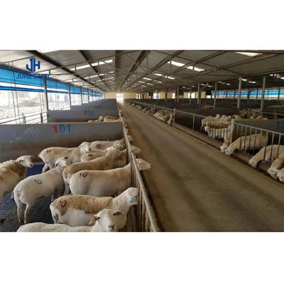 Canlı Sığır ve Keçi Ahırları için Katı H şeklindeki Çelik kiriş Hayvanlık Sığınağı Çözümü
