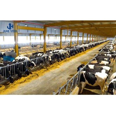 2-10 Metre Yükseklikte Sığır Çiftliği Bina Evi 60 mm boru çaplı Sığır Ahırı Tasarımı