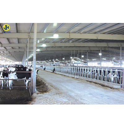 Çelik yapıda broiler tavuk besleme için düşük bakımlı tavuk çiftliği ekipmanları