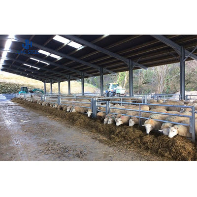 Çelik yapıda broiler tavuk besleme için düşük bakımlı tavuk çiftliği ekipmanları
