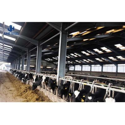 Q235/Q355B Çelik yapı sınıfı Hayvan yönetimi için inek ahırı