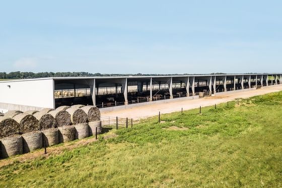 Q235/Q345B Sınıf Metal Çiftlik Binaları Yaşayış Odaları Prefabrik At Arenası