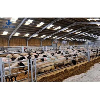 Q235 Q355B Çelik Hayvan Sığınağı Tavuk Çiftliği Düzenleme Tasarımı Yakın Ev Tavuk Çiftliği