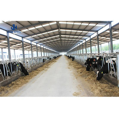 2-10m Yükseklik Çelik Yapı İnek Ahırı 48mm boru ile prefabrik depo binası