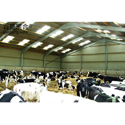 Q345 Q235 Keçi yetiştirme kulübe ve inek sığır inşaatı için hafif çelik yapısı