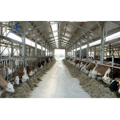 Çelik Metal Kulübeler Sığır Domuz Evleri Prefabrik Tavuk Evleri Rulo Kapısı İnşaatı