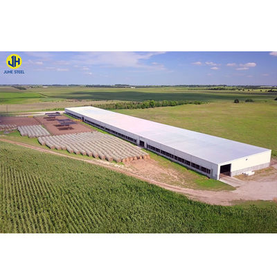 Tavuk Çiftliği için Prefab Çelik Çerçeve Evi Hafif Çelik Yapı Çerçeve